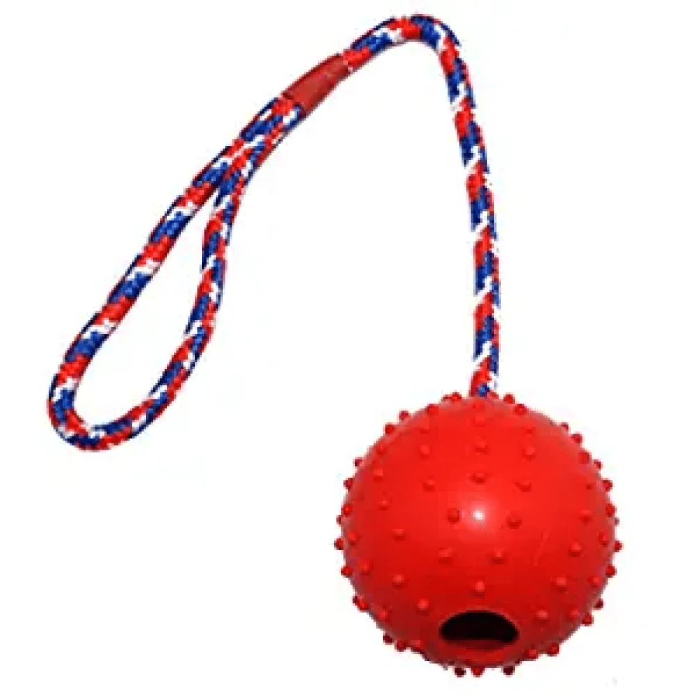 Emily Pets Rubber Ball with Rope Chew Toy for Dogs (Orange) - Image 2