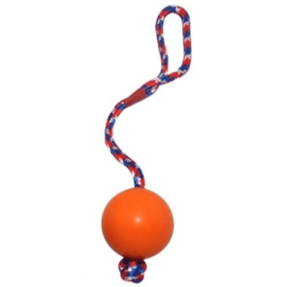 Emily Pets Rubber Ball with Rope Chew Toy for Dogs (Red) - Image 2