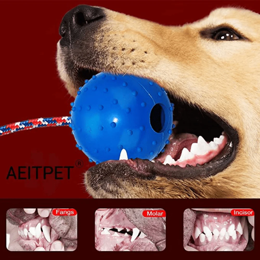 Emily Pets Rubber Ball with Rope Chew Toy for Dogs (Red) - Image 7