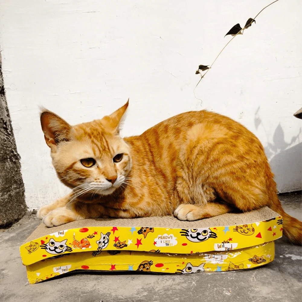 Emily Pets Sofa Bed Scratching Pad for Kittens (Beige) - Image 8