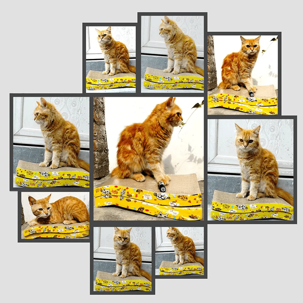 Emily Pets Sofa Bed Scratching Pad for Kittens (Beige) - Image 9