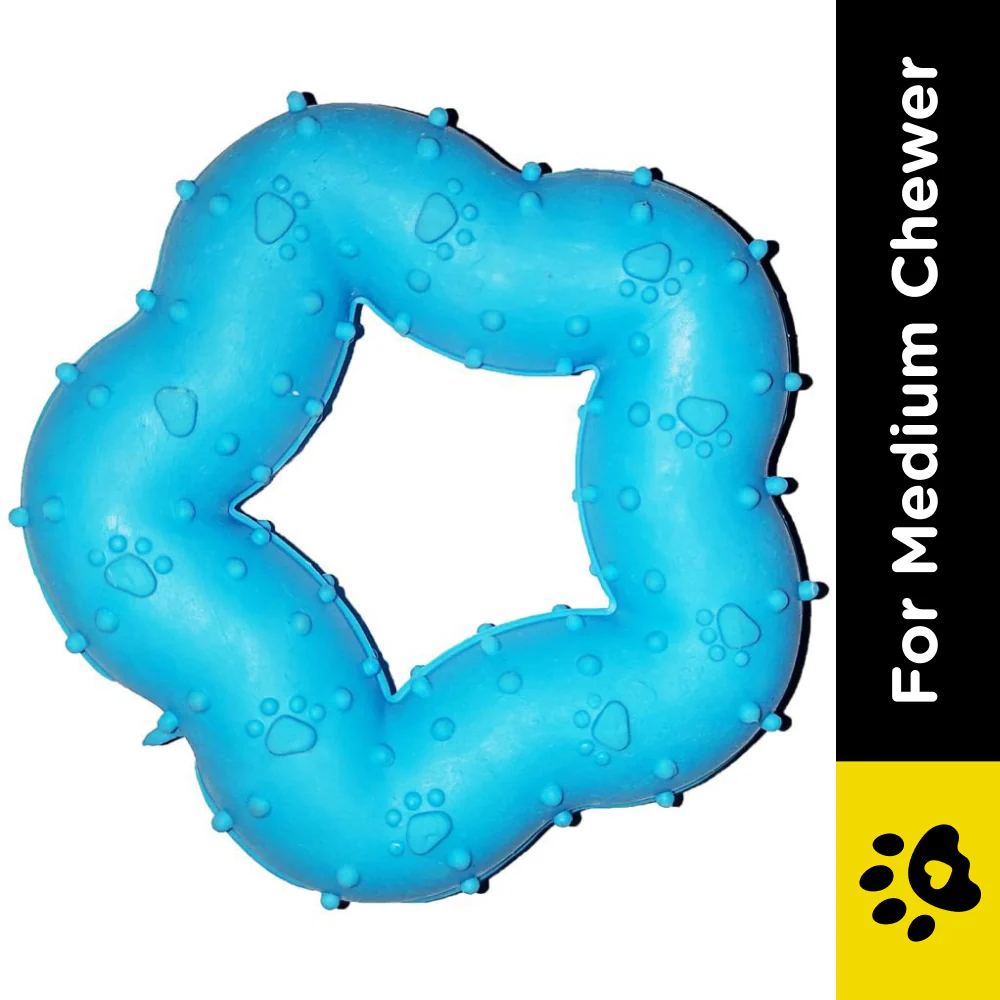 Emily Pets Star Shape Rubber Chew Toy for Dogs (Blue) - Image 2