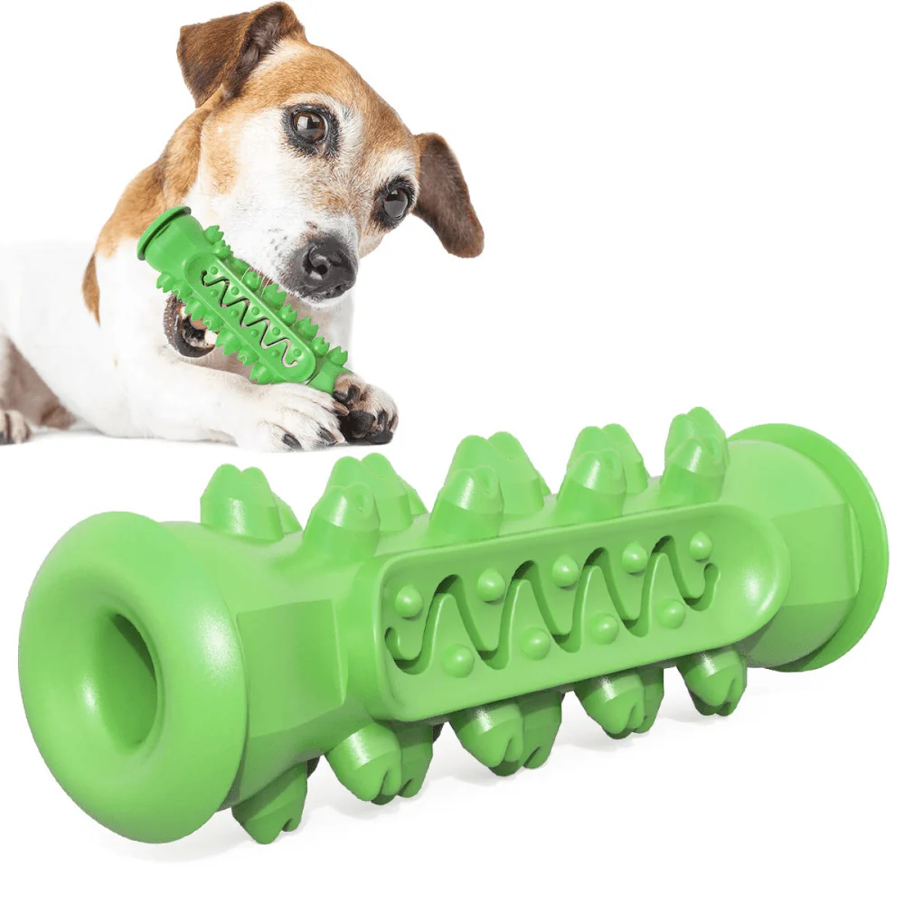 Emily Pets Toothbrush Stick Dental Care Toy for Dogs (Green) - Image 3
