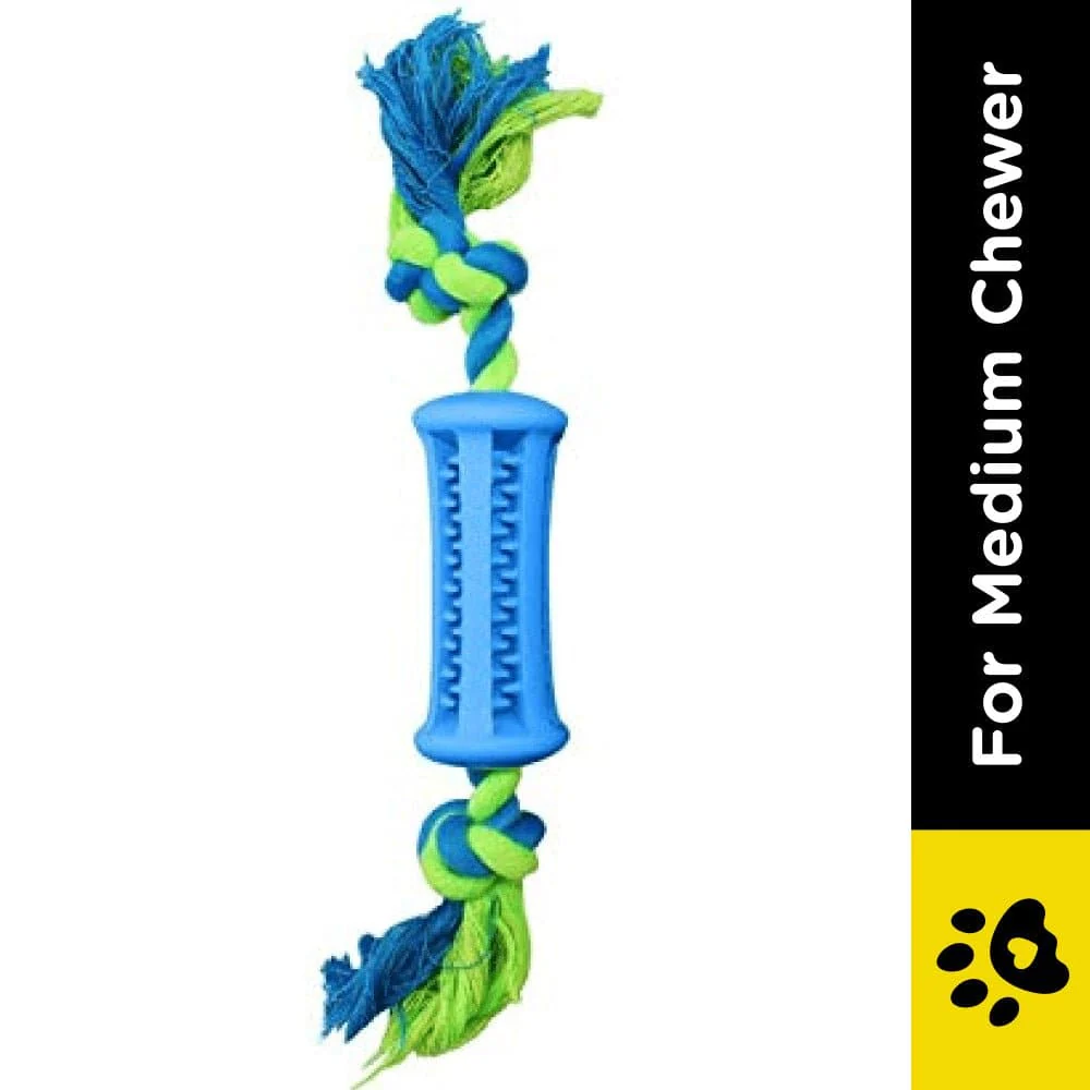 Emily Pets Toothbrush Stick Dental Care Toy with Rope for Dogs (Blue) - Image 2