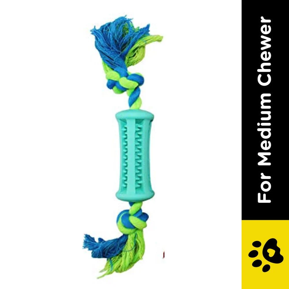 Emily Pets Toothbrush Stick Dental Care Toy with Rope for Dogs (Sky Blue) - Image 2
