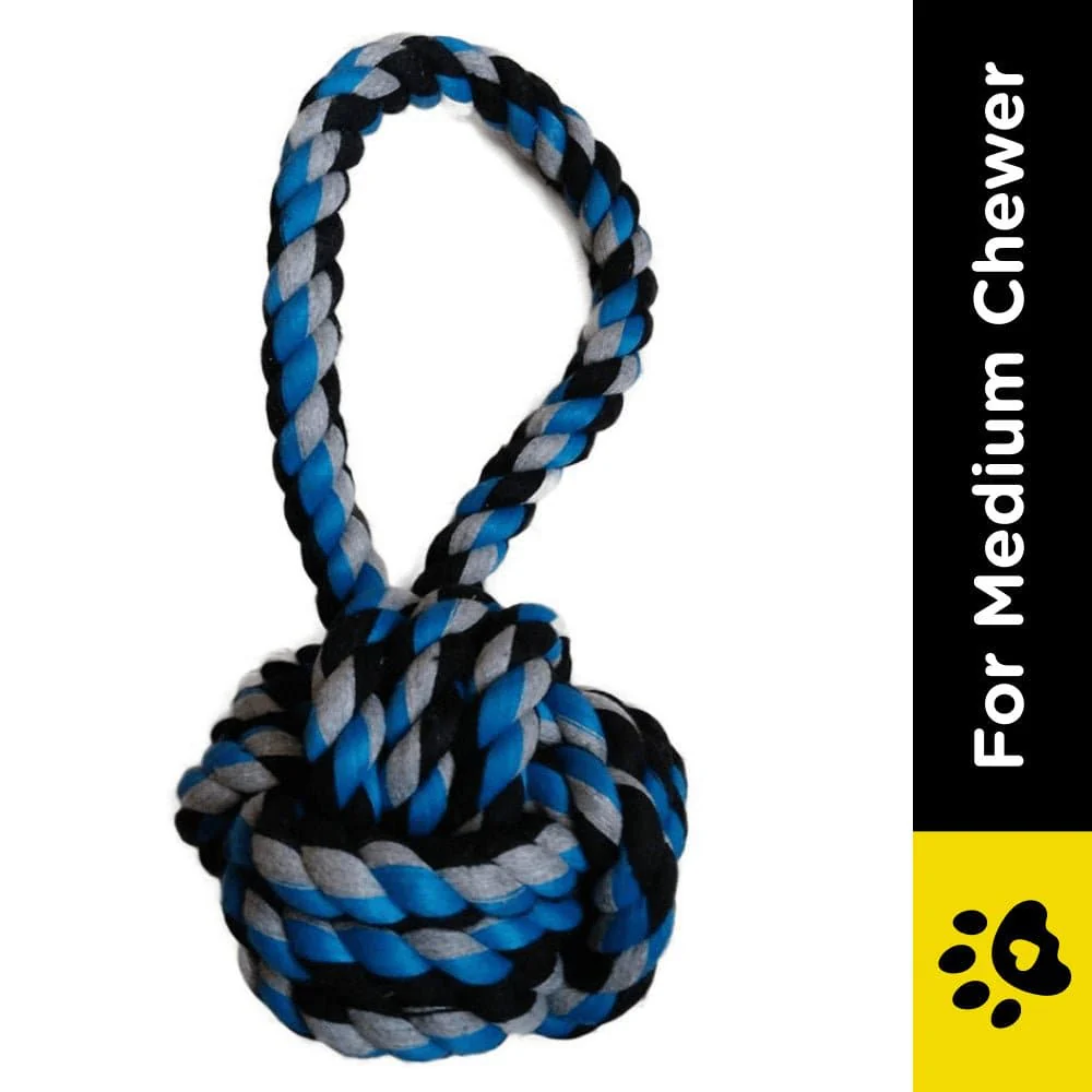 Emily Pets Tug Ball Toy for Dogs (Blue) - Image 2