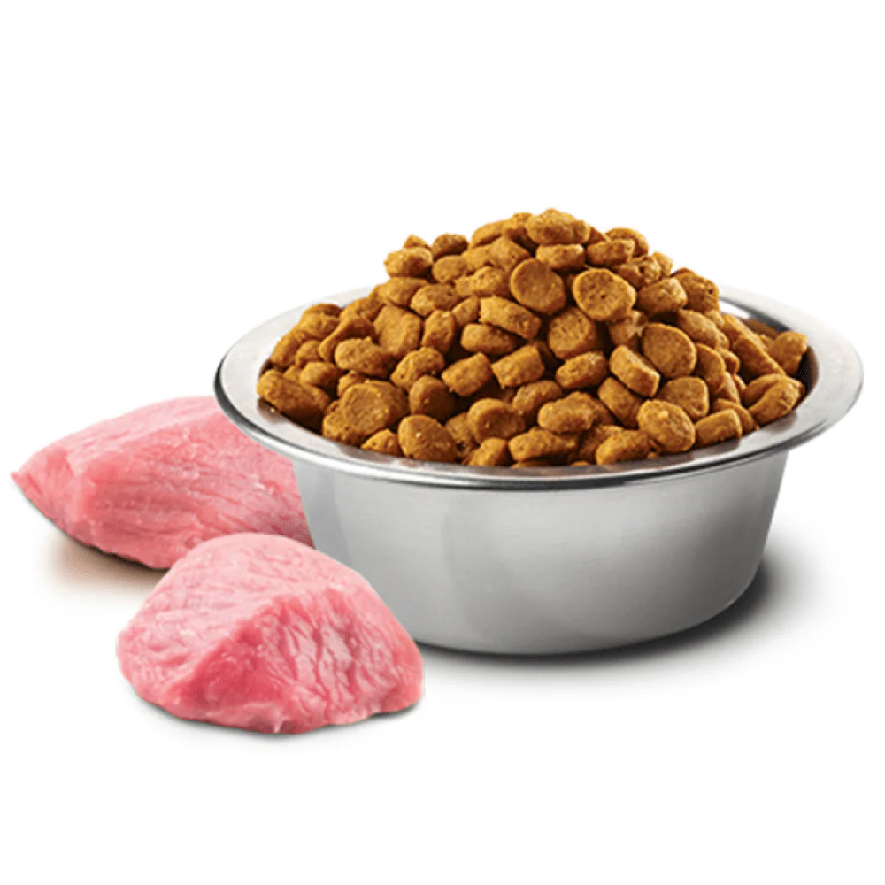 Farmina N&D Chicken & Pomegranate Adult Medium Maxi Dog Dry Food - Image 3