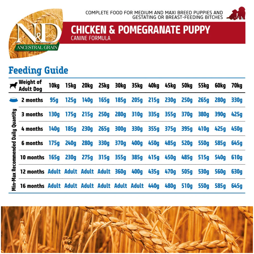 Farmina N&D Chicken & Pomegranate Ancestral Grain Puppy Medium Maxi Dog Dry Food - Image 6