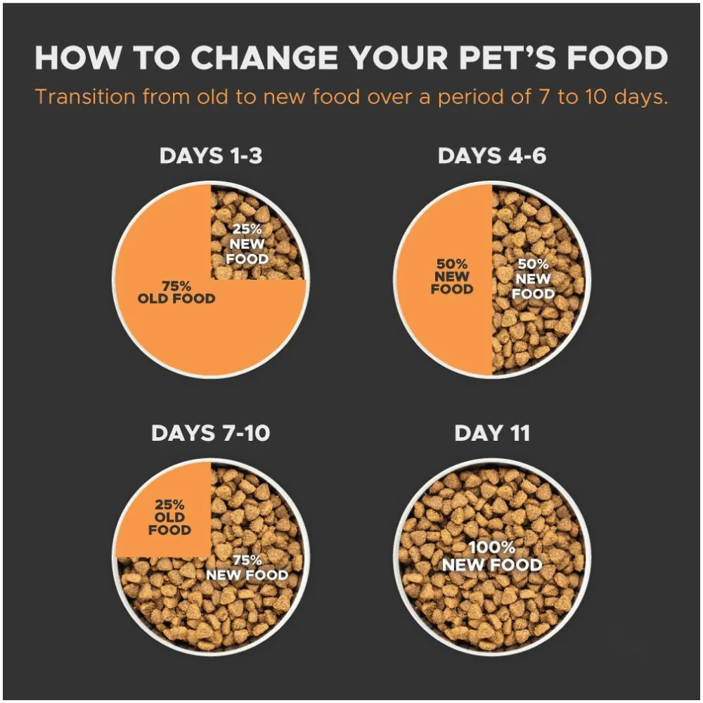 Farmina N&D Pumpkin Lamb & Blueberry Grain Free Puppy Medium Maxi Dog Dry Food - Image 4