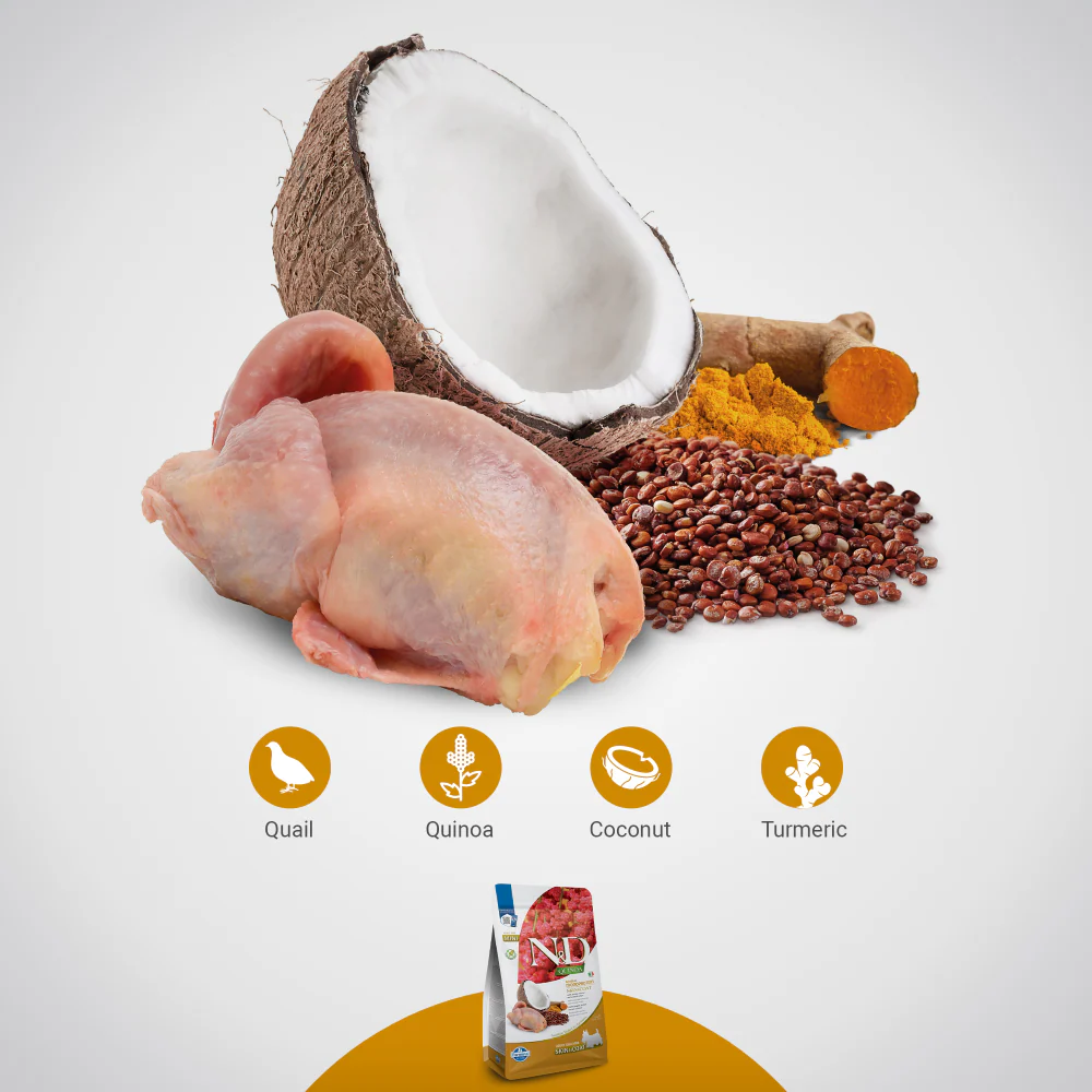 Farmina N&D Quinoa Quail Coconut & Turmeric Skin & Coat Adult Mini Dog Dry Food - Image 2