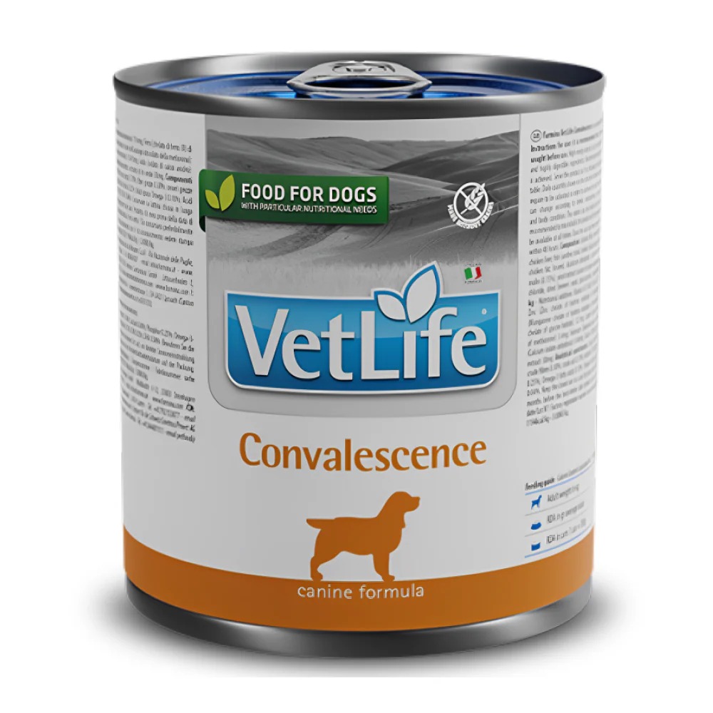 Farmina Vet Life Convalescence Canine Formula Dog Wet Food - Image 2