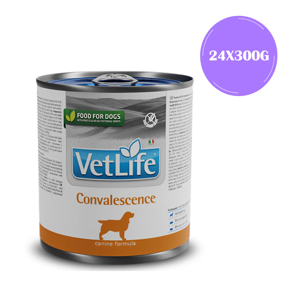 Farmina Vet Life Convalescence Canine Formula Dog Wet Food - Image 5