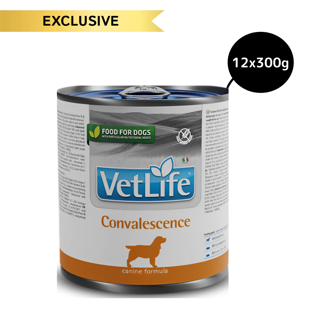 Farmina Vet Life Convalescence Canine Formula Dog Wet Food - Image 3