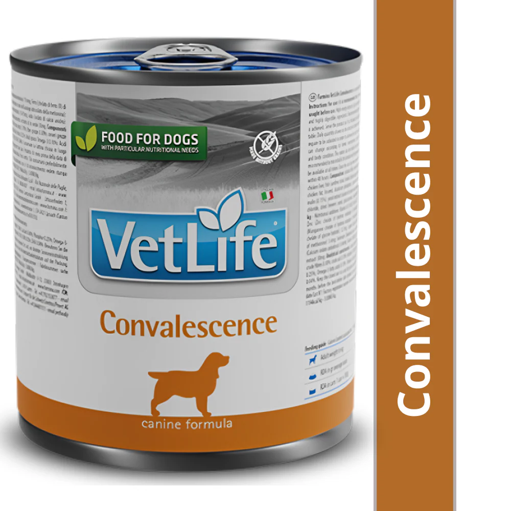 Farmina Vet Life Convalescence Canine Formula Dog Wet Food - Image 4