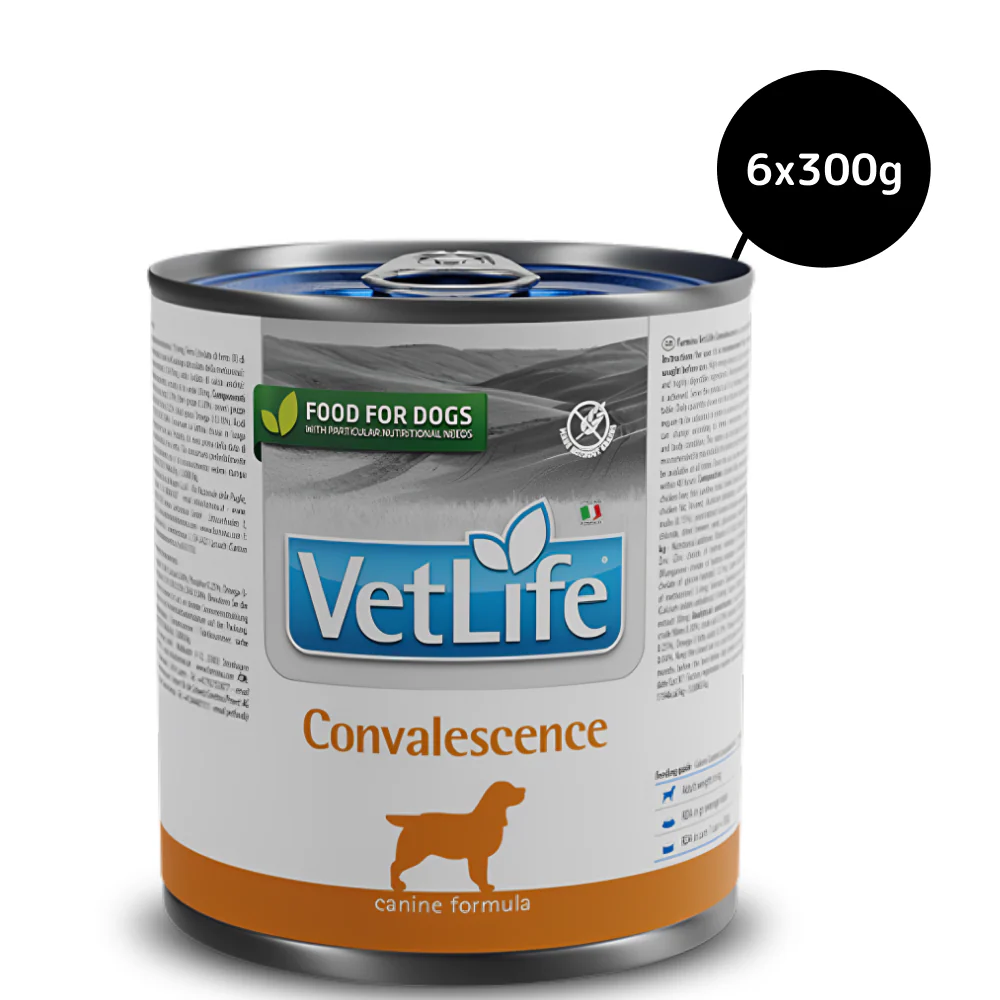 Farmina Vet Life Convalescence Canine Formula Dog Wet Food - Image 5
