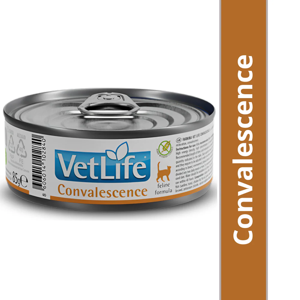 Farmina Vet Life Convalescence Feline Formula Cat Wet Food - Image 2