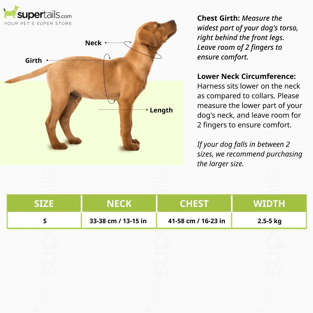 Ferplast Champion P Harness for Dogs (Blue) - Image 2