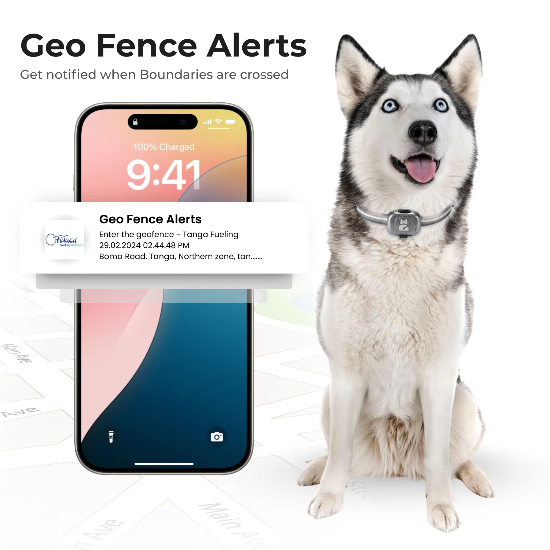 FeTaca G16 Smart 4G GPS Waterproof Mini Collar Tracker with Free Life Time Tracking & App Subscription for Dogs and Cats (Grey) - Image 2