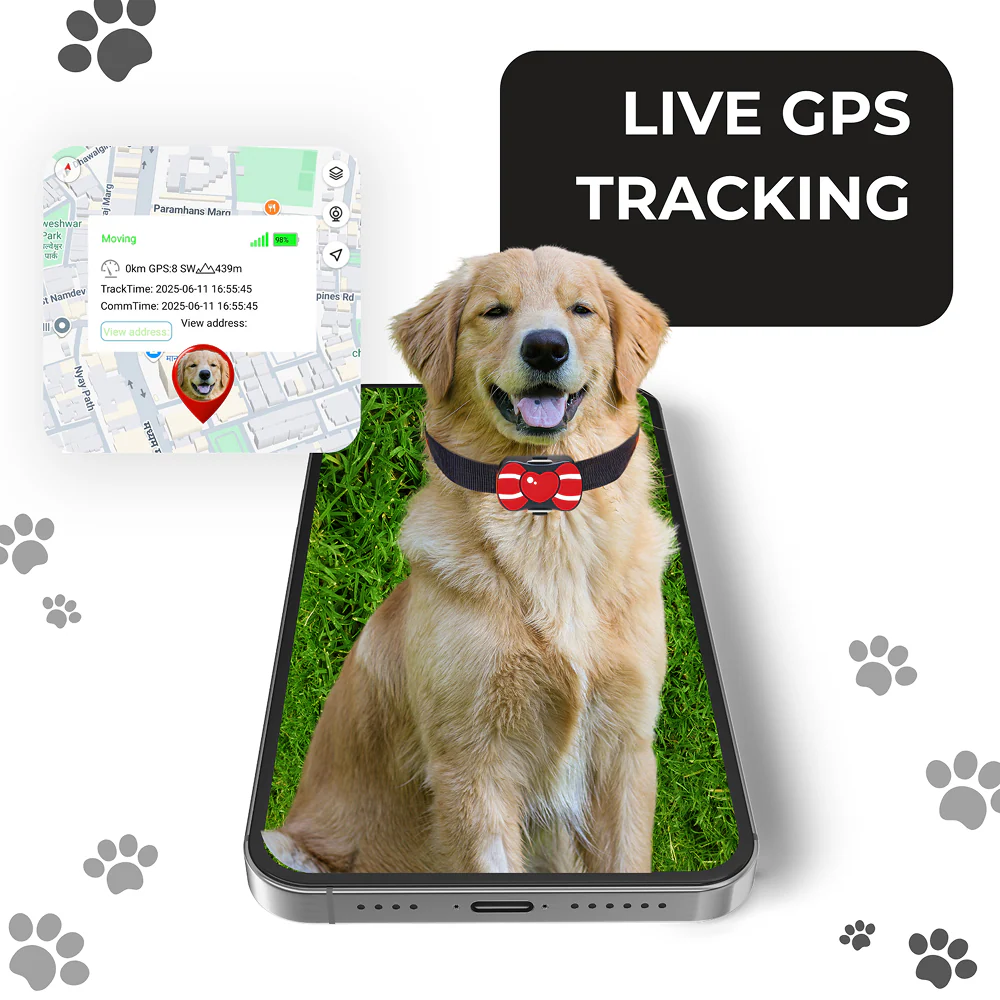 FeTaca PB1 Smart 4G GPS Waterproof Collar with Bow Tracker with 12months Free Tracking & App Subscription for Dogs and Cats (Red) - Image 2