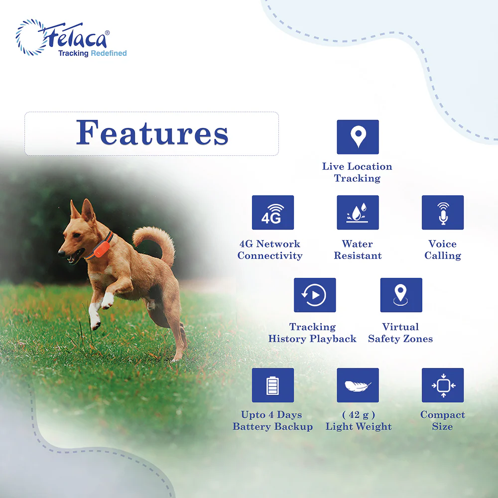 FeTaca Smart 4G GPS Tracker with Lifetime Free Tracking & 1 Year Data SIM Subscription for Dogs and Cats (Orange) - Image 2