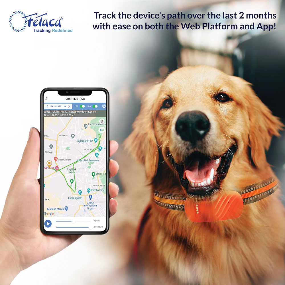 FeTaca Smart 4G GPS Tracker with Lifetime Free Tracking & 1 Year Data SIM Subscription for Dogs and Cats (Orange) - Image 4