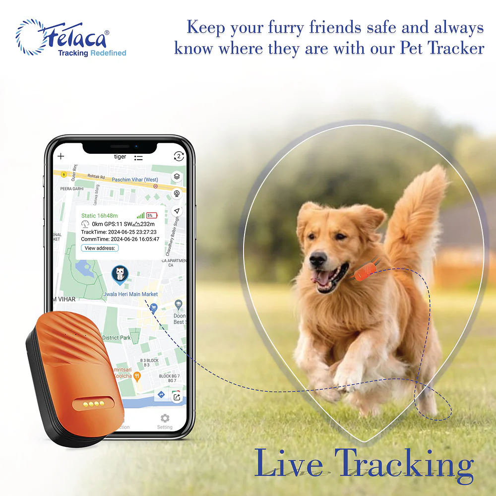 FeTaca Smart 4G GPS Tracker with Lifetime Free Tracking & 1 Year Data SIM Subscription for Dogs and Cats (Orange) - Image 6
