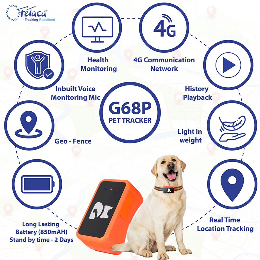 FeTaca Smart 4G GPS Tracker with Lifetime Free Tracking & 1 Year Data SIM Subscription for Dogs and Cats (Orange) - Image 5
