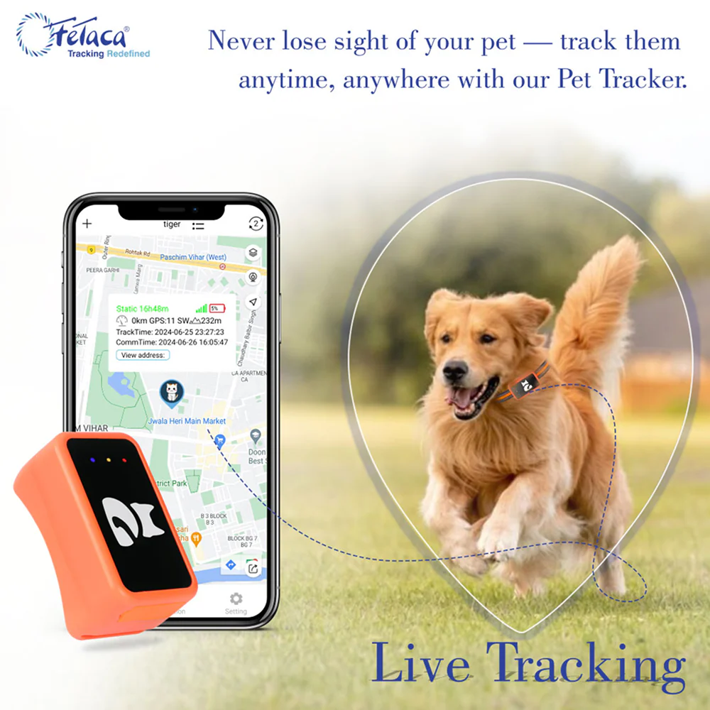 FeTaca Smart 4G GPS Tracker with Lifetime Free Tracking & 1 Year Data SIM Subscription for Dogs and Cats (Orange) - Image 6
