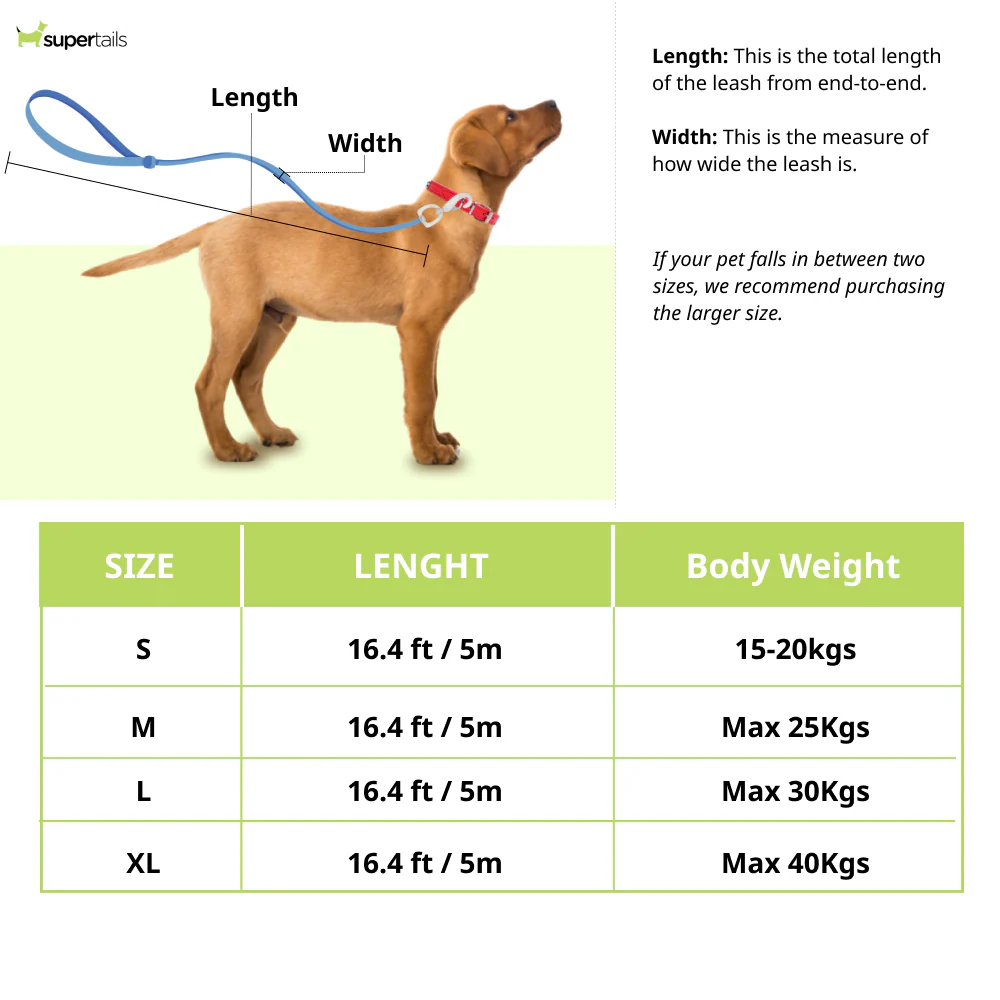 Fida Autobrake Retractable Leash for Dogs (White) - Image 2
