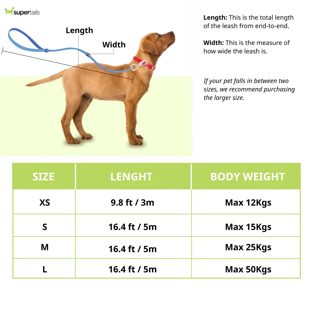 Fida Styleash Retractable Leash for Dogs (Red) - Image 6