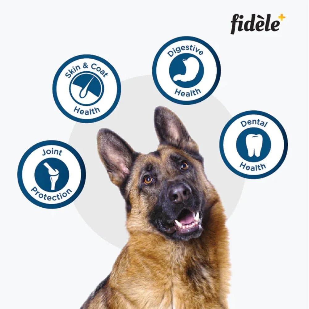Fidele Plus Adult Large Dog Dry Food - Image 4
