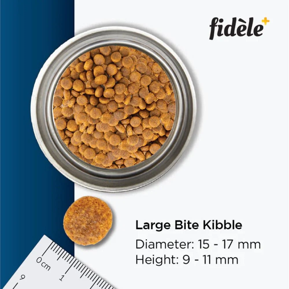 Fidele Plus Adult Large Dog Dry Food - Image 5