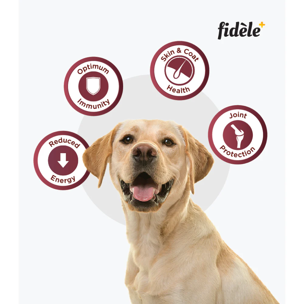 Fidele Plus Adult Light & Senior Dog Dry Food - Image 3