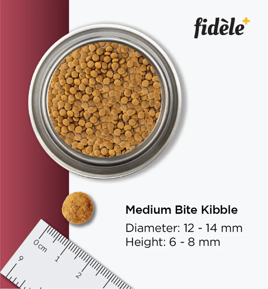 Fidele Plus Adult Light & Senior Dog Dry Food - Image 7