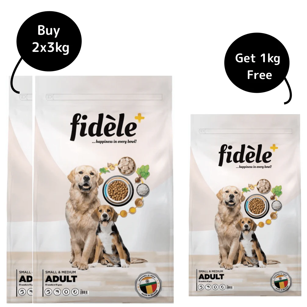 Fidele Plus Adult Small & Medium Dog Dry Food - Image 14