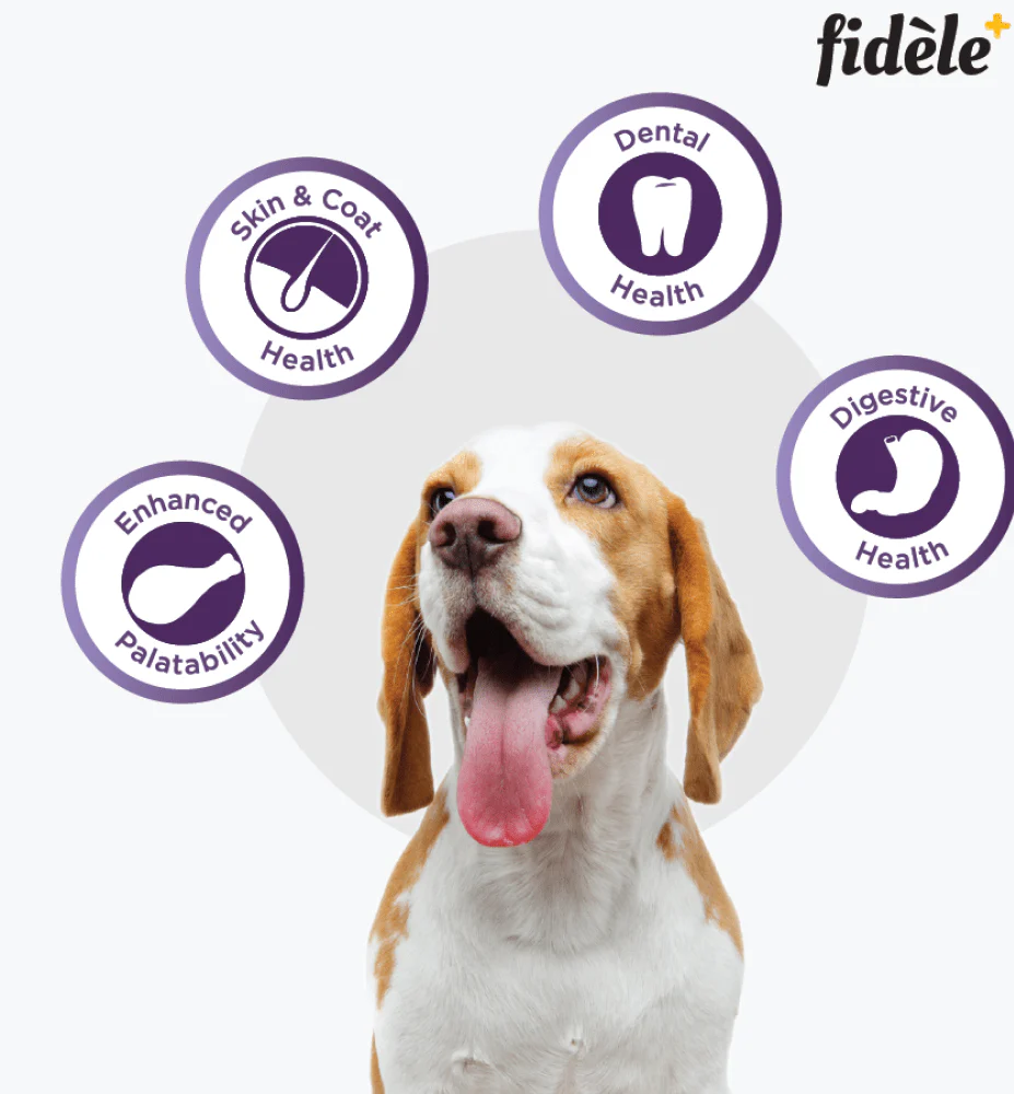 Fidele Plus Adult Small & Medium Dog Dry Food - Image 5