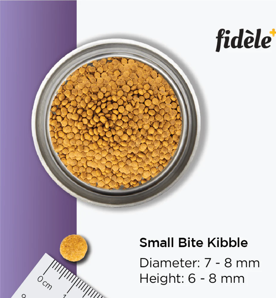 Fidele Plus Adult Small & Medium Dog Dry Food - Image 6