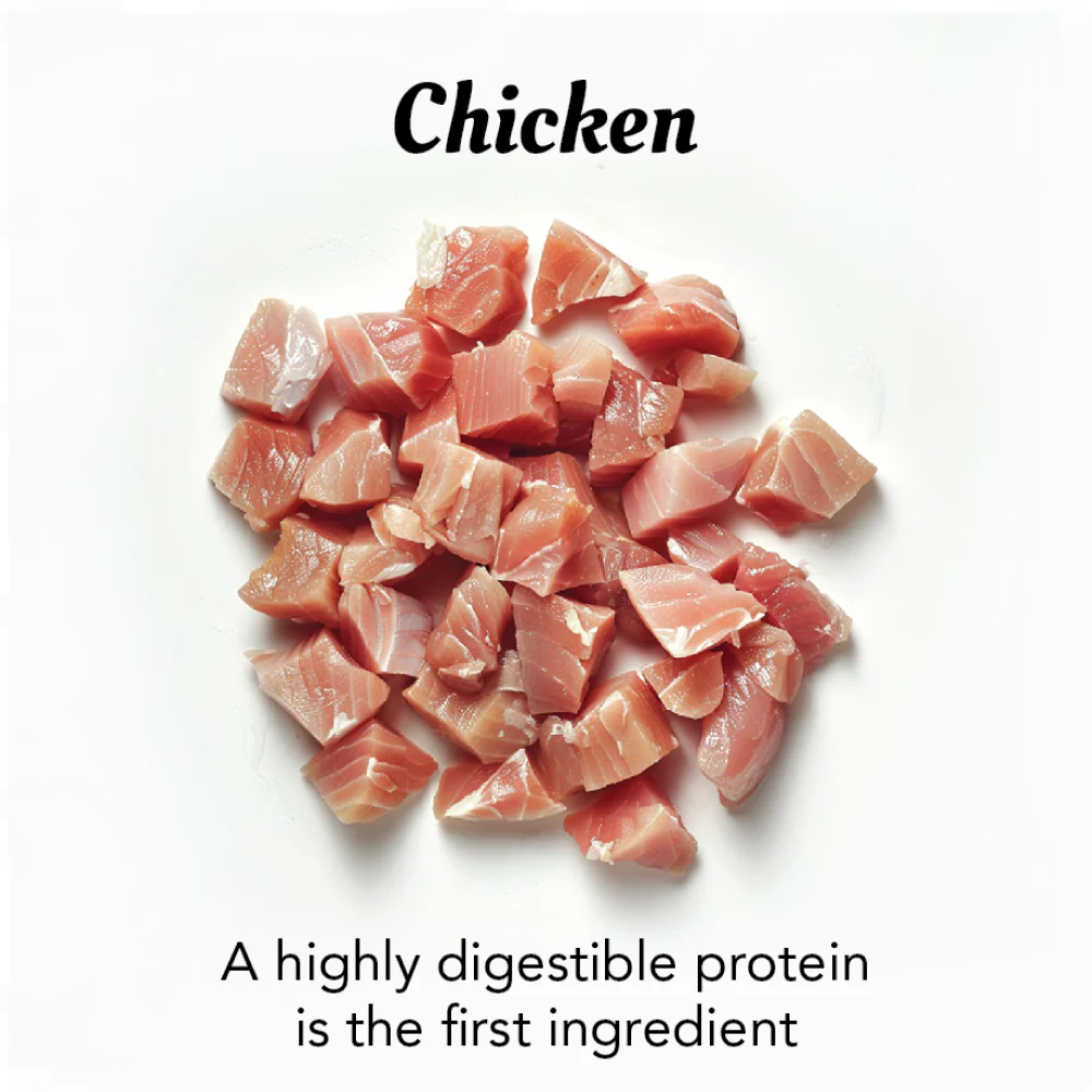 Fidele Plus Fresh Chicken with Vegetables Dog Wet Food - Image 7