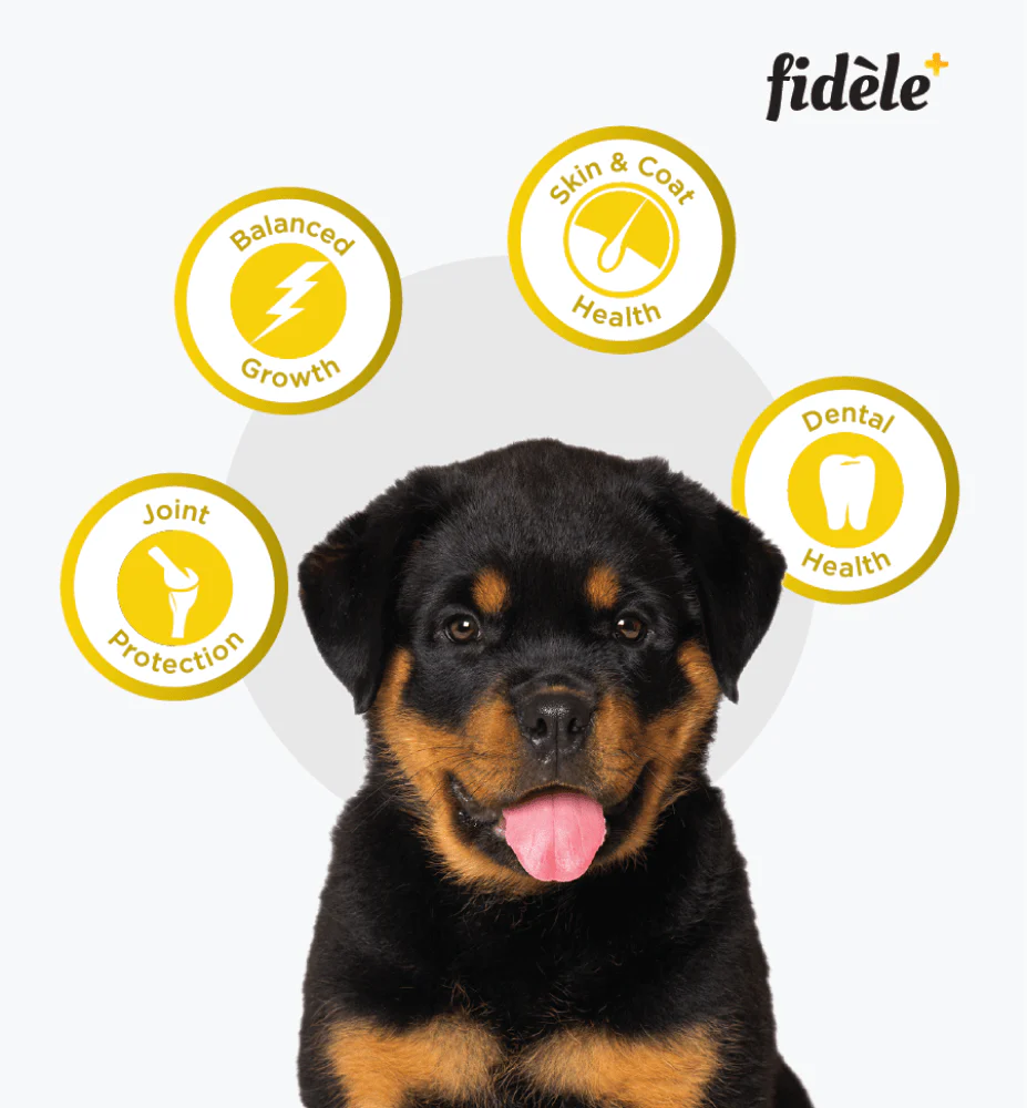 Fidele Plus Large Puppy Dry Food - Image 4