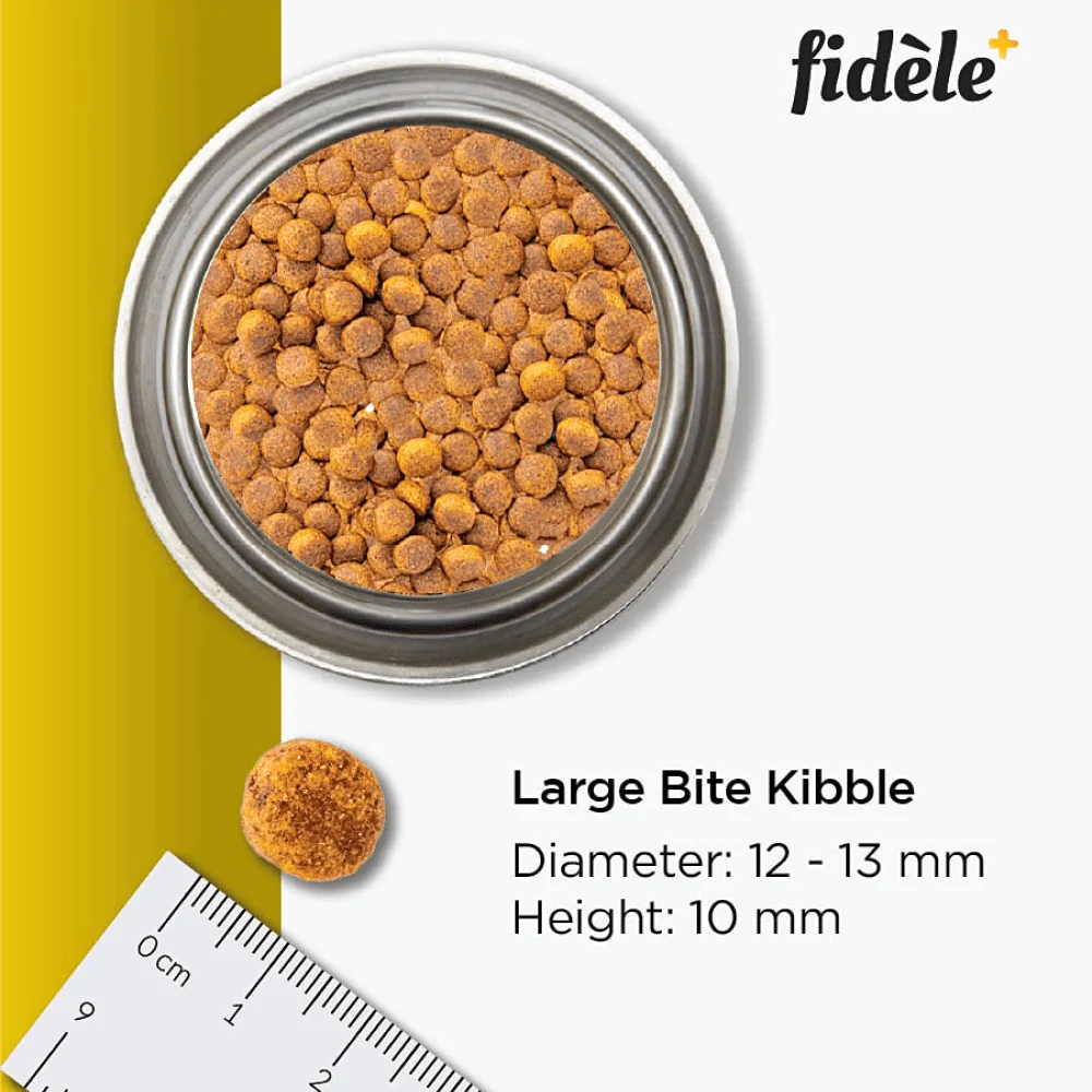 Fidele Plus Large Puppy Dry Food - Image 3