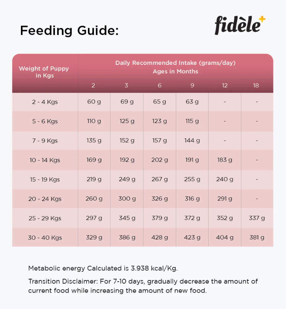 Fidele Plus Small and Medium Puppy Dry Food - Image 4
