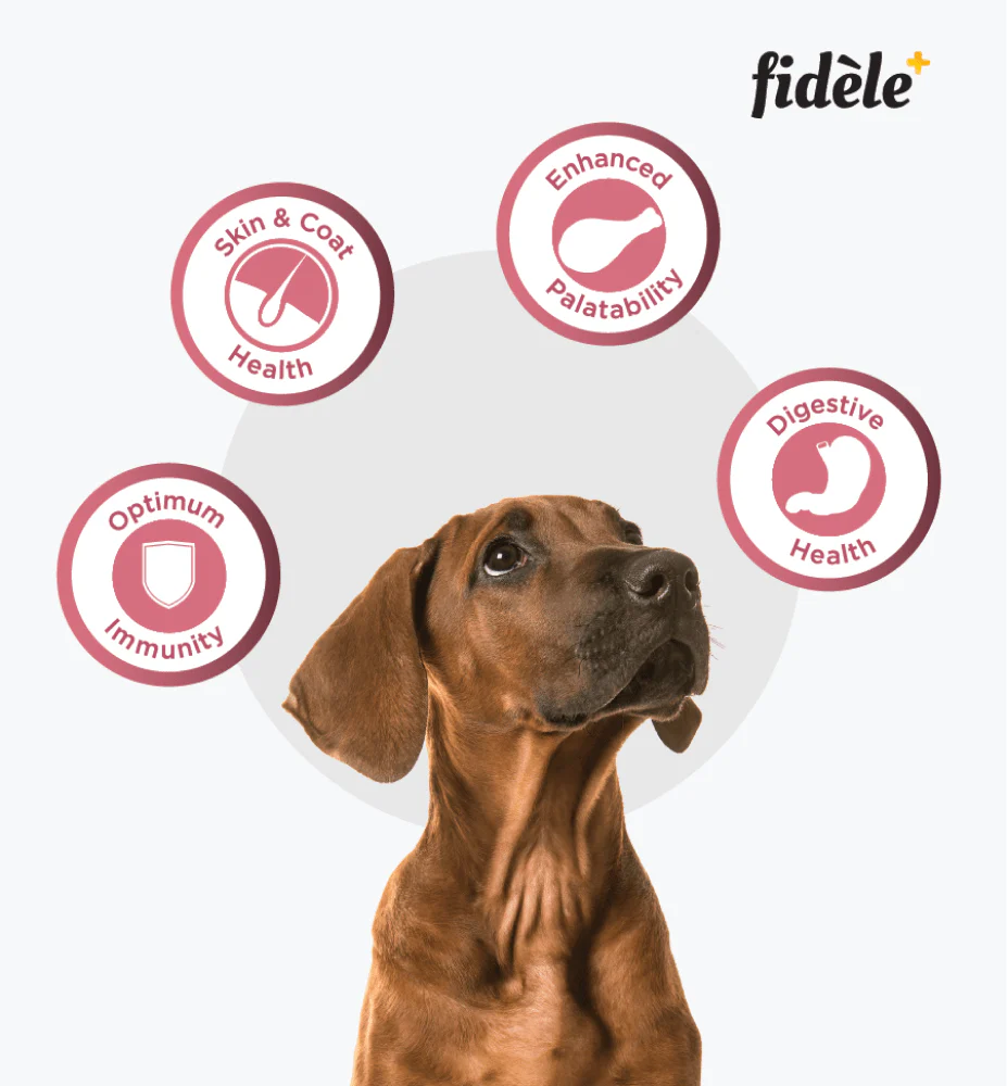 Fidele Plus Small and Medium Puppy Dry Food - Image 5