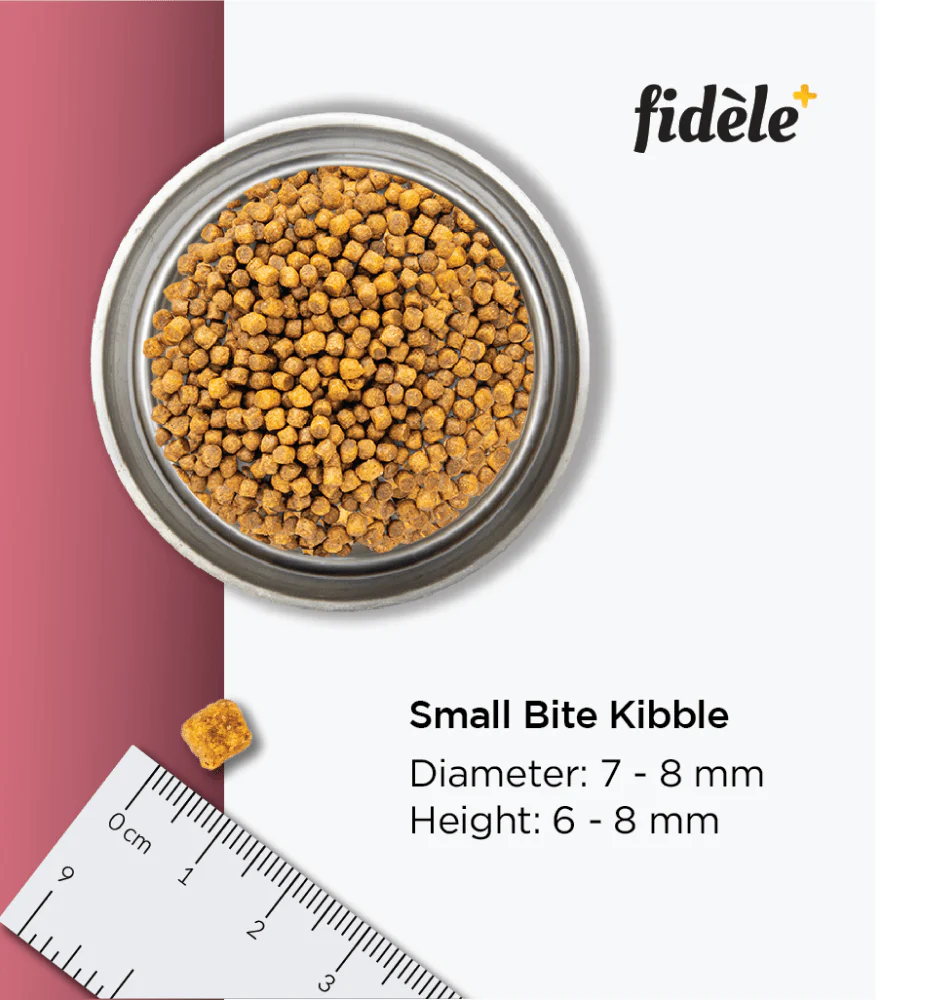 Fidele Plus Small and Medium Puppy Dry Food - Image 6
