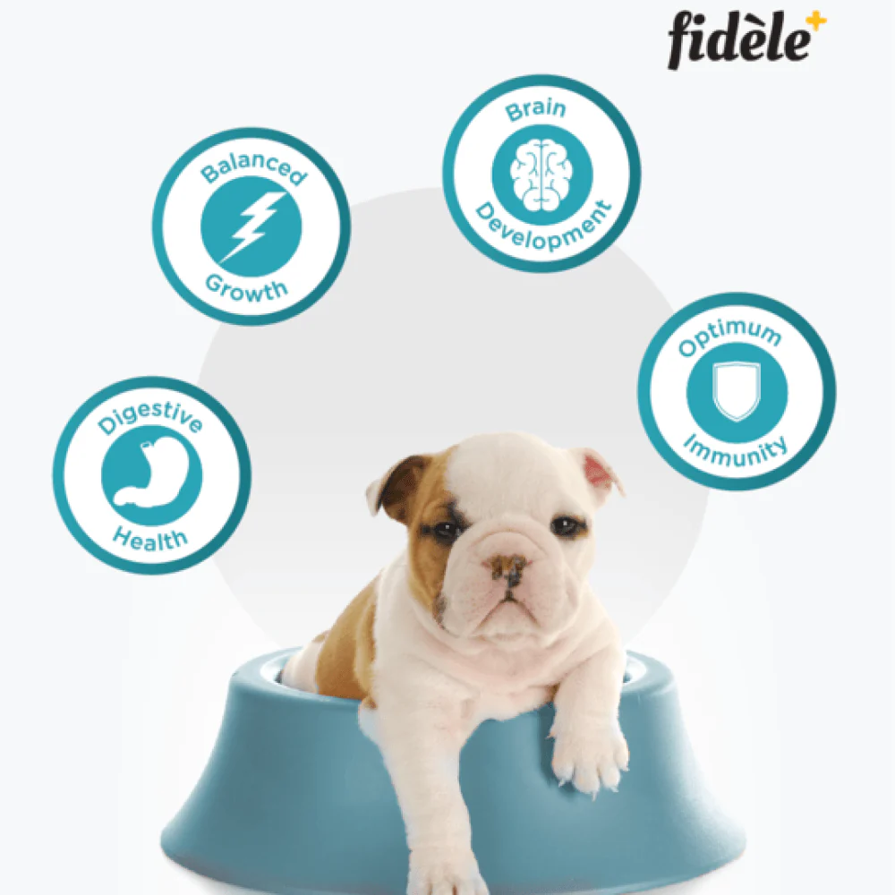 Fidele Plus Starter Puppy Dry Food - Image 3