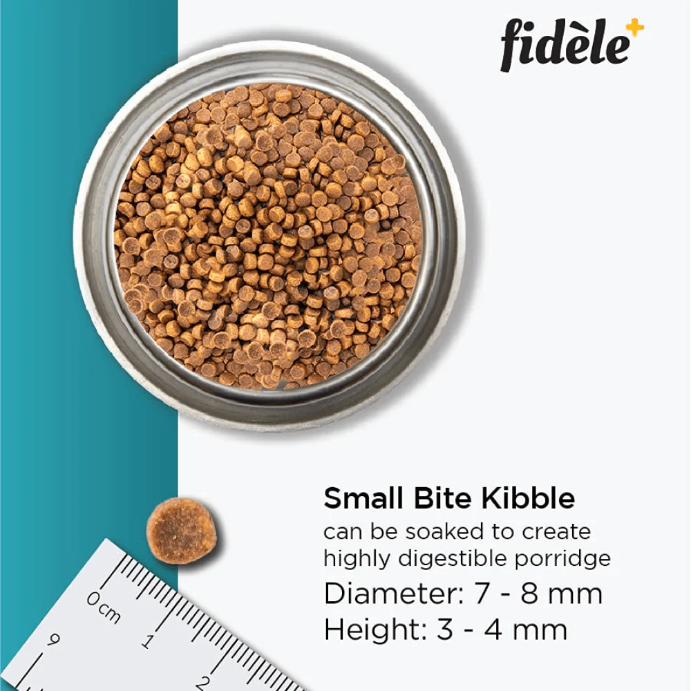 Fidele Plus Starter Puppy Dry Food - Image 5