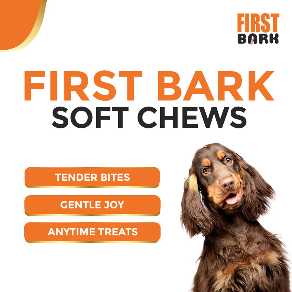 First Bark Chicken Slice with Cheese Jerky Dog Treat - Image 3