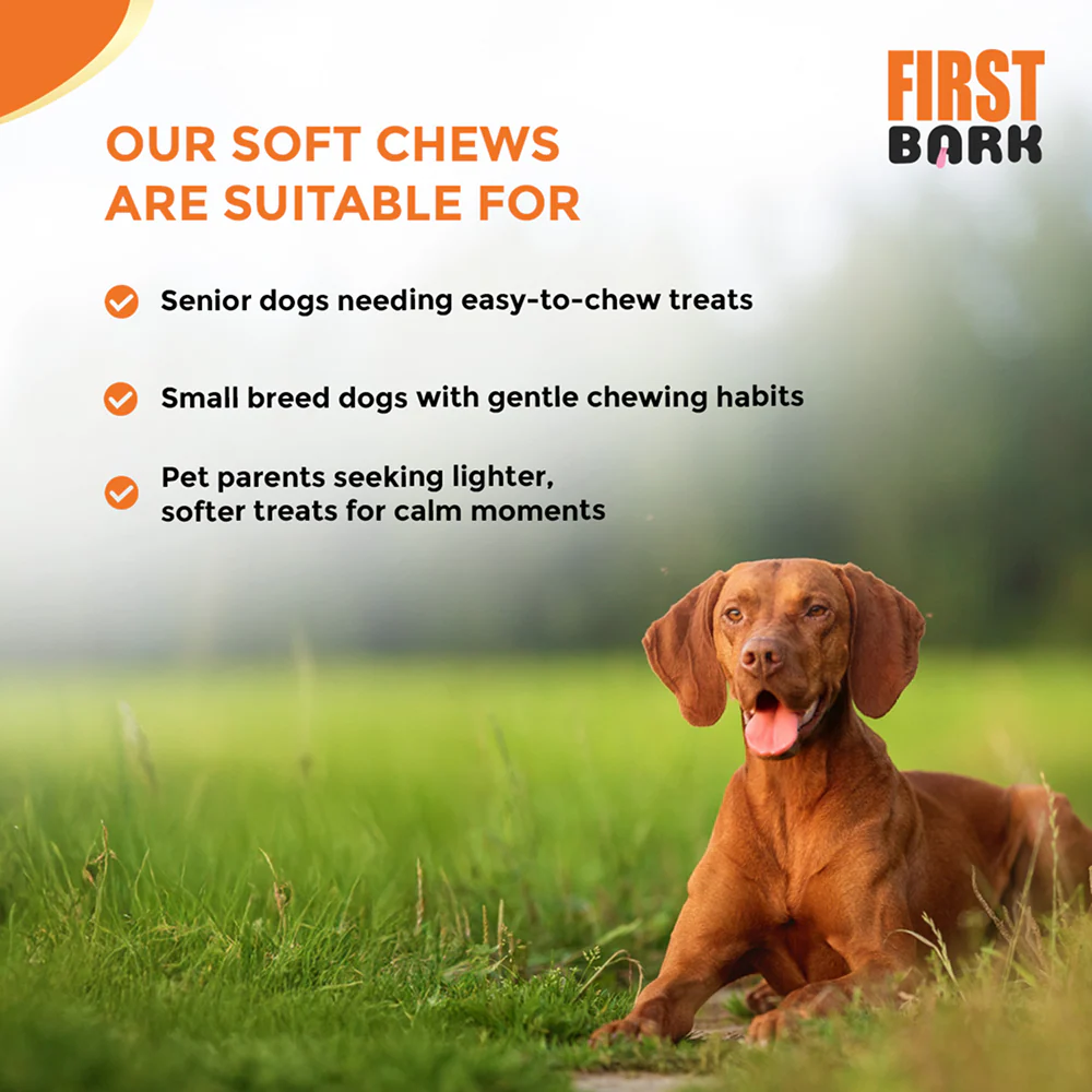 First Bark Chicken Slice with Cheese Jerky Dog Treat - Image 6