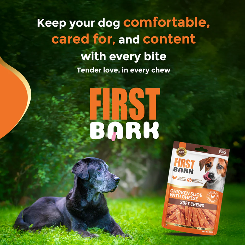 First Bark Chicken Slice with Cheese Jerky Dog Treat - Image 8