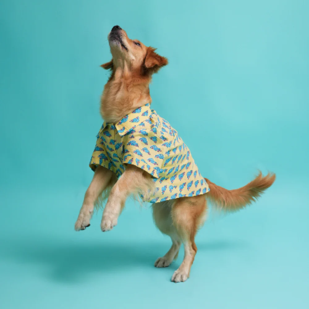 Floof & Co Car Print Cotton Shirt for Dogs (Yellow) - Image 4