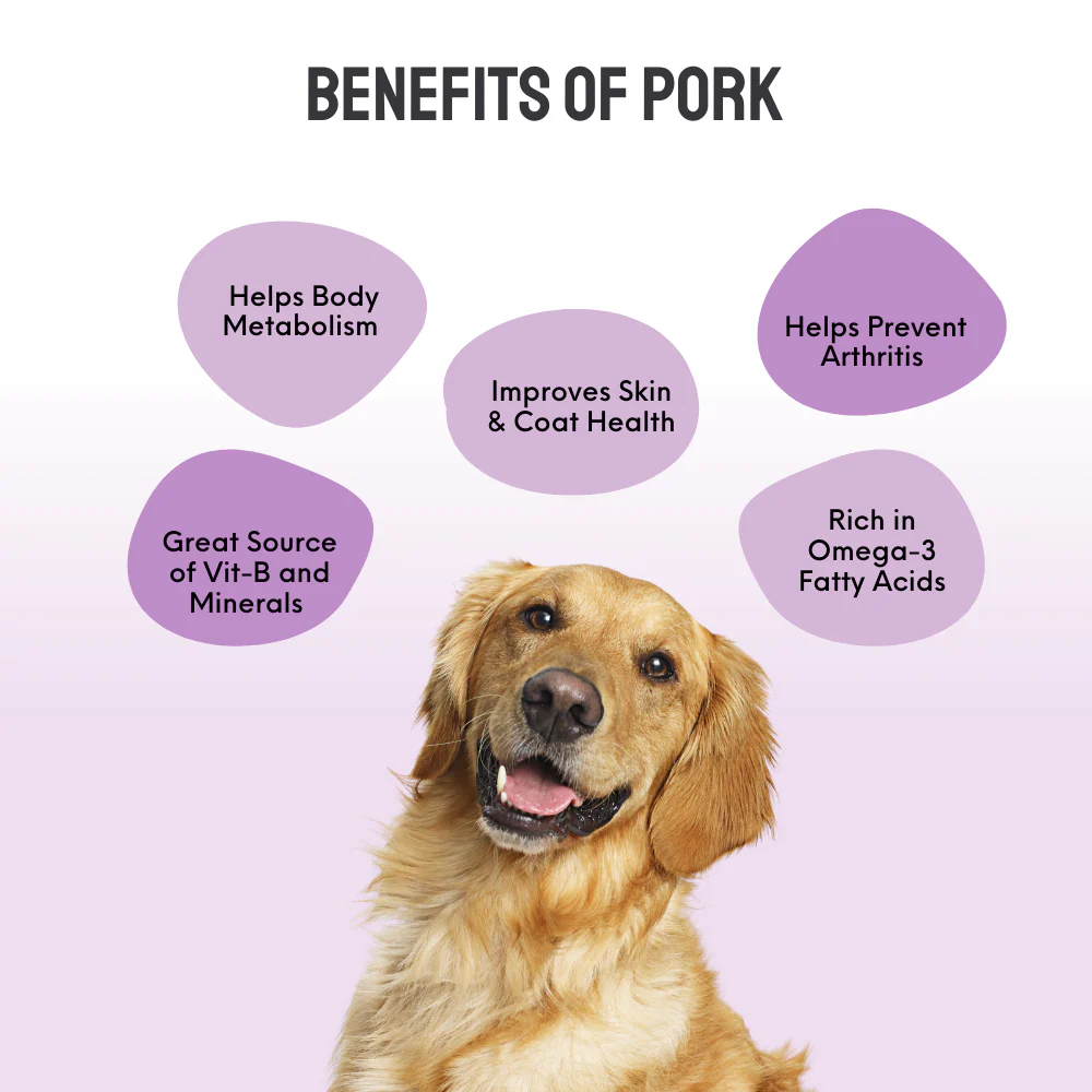 Floof & Co Chewy Pork Chew Jerky Dog Treats - Image 3